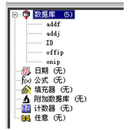 5个字段